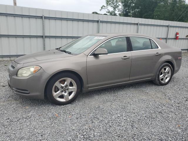 2010 Chevrolet Malibu 1Lt VIN: 1G1ZC5E01AF199054 Lot: 55459154