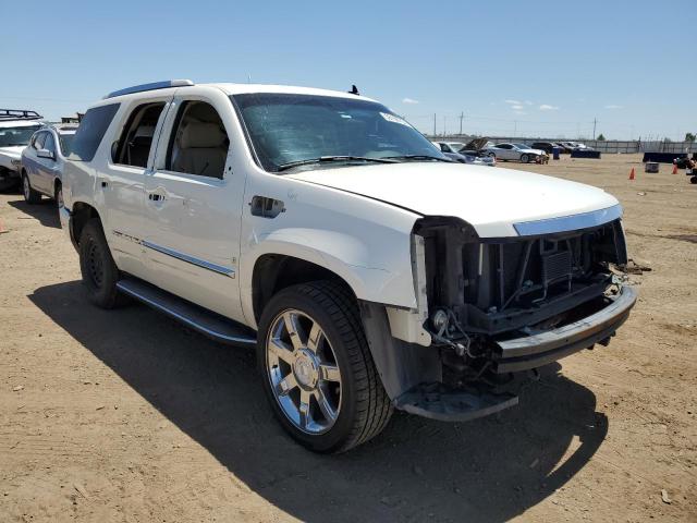 2007 Cadillac Escalade Luxury VIN: 1GYFK63867R332274 Lot: 56190754