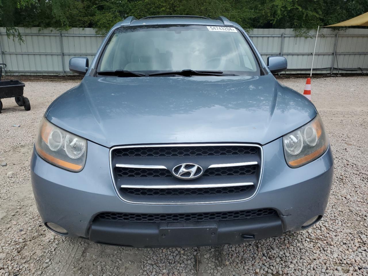 5NMSH13E89H321943 2009 Hyundai Santa Fe Se