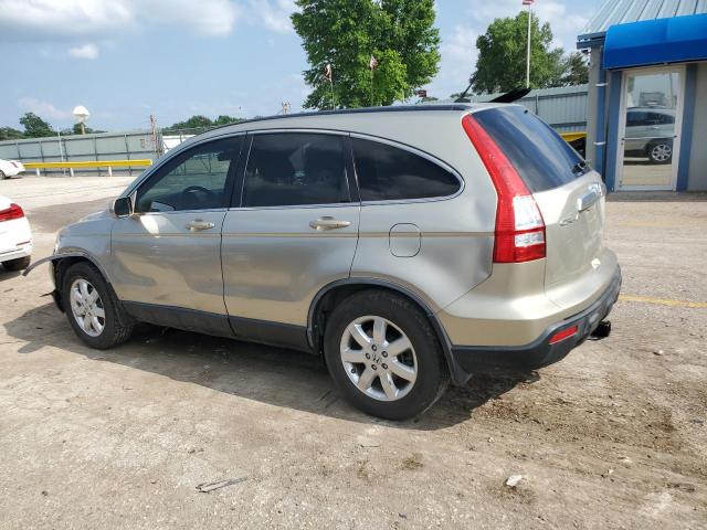 2008 Honda Cr-V Exl VIN: JHLRE487X8C071558 Lot: 55541524