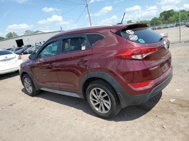 2017 Hyundai Tucson Limited VIN: KM8J3CA47HU456527 Lot: 55501054