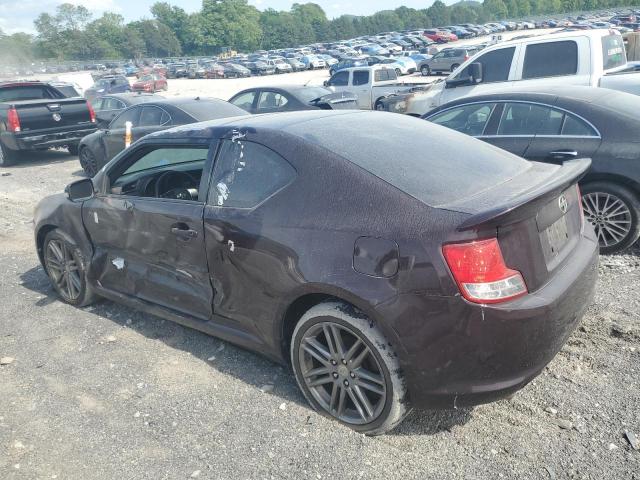 2011 Toyota Scion Tc VIN: JTKJF5C79B3016653 Lot: 52730524