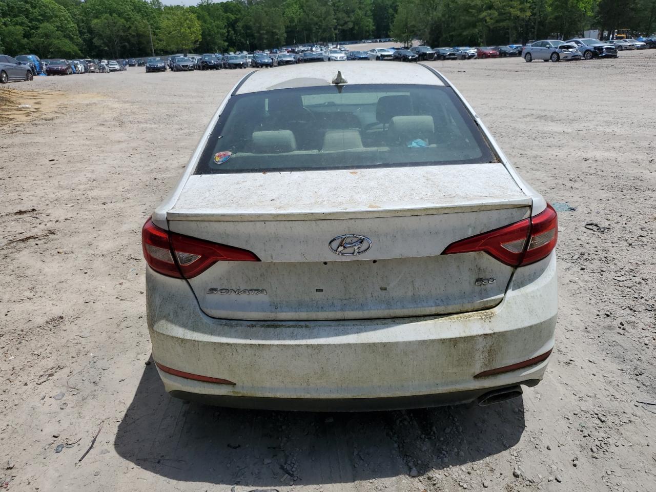 5NPE24AA7GH425663 2016 Hyundai Sonata Eco