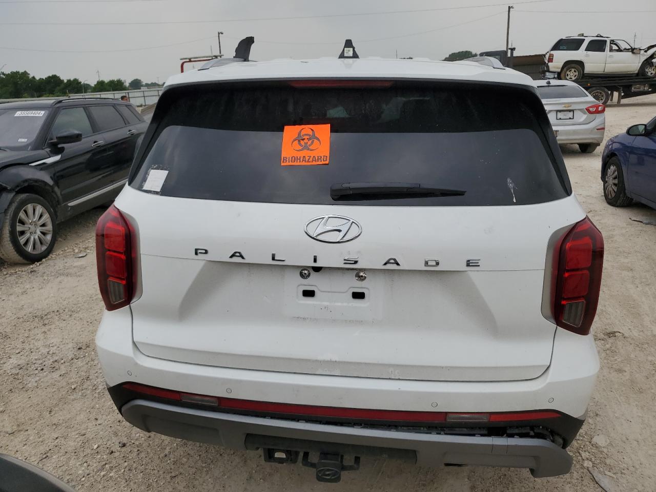 KM8R54GE7RU763331 2024 Hyundai Palisade Limited