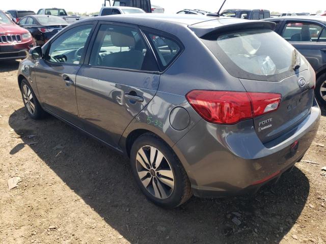 2013 Kia Forte Ex VIN: KNAFU5A28D5687181 Lot: 53648164