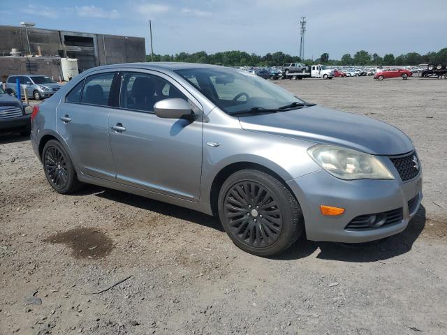 2010 Suzuki Kizashi Gts VIN: JS2RE9A59A6100125 Lot: 53960464