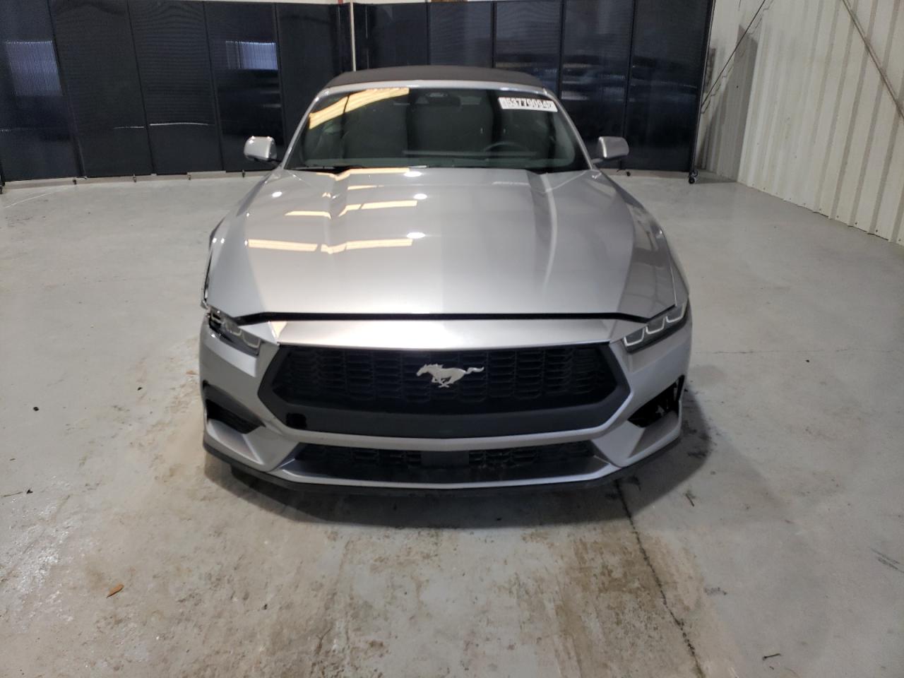 1FAGP8UHXR5113534 FORD ALL Models 2024