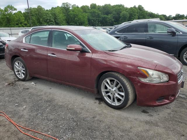 2009 Nissan Maxima S VIN: 1N4AA51EX9C832892 Lot: 55951124