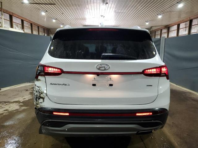 2023 Hyundai Santa Fe Sel VIN: 5NMS2DAJ3PH603861 Lot: 57130564