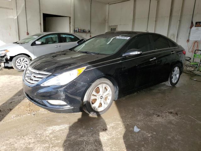 2011 Hyundai Sonata Se VIN: 5NPEC4AC9BH234656 Lot: 54384634