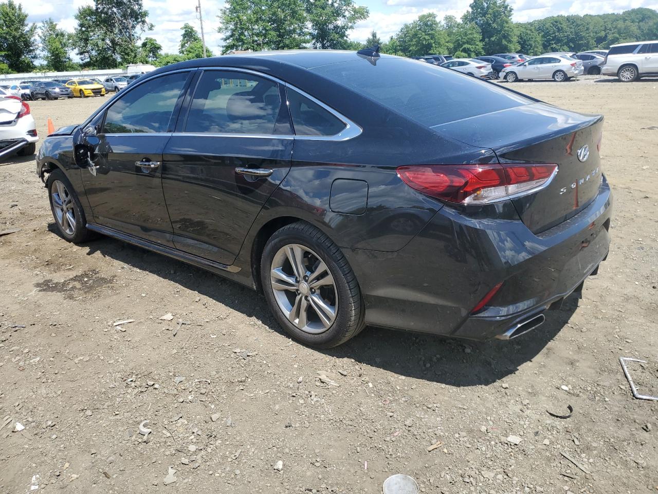 5NPE34AF6KH820421 2019 Hyundai Sonata Limited