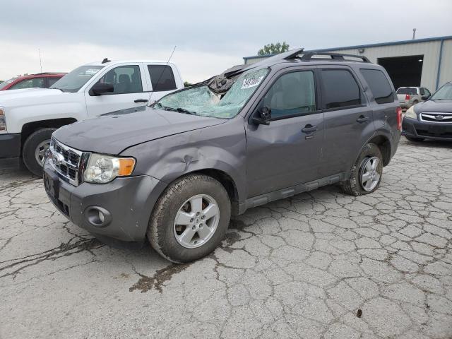 Vin: 1fmcu9dg6akb60804, lot: 54970084, ford escape xlt 2010 img_1
