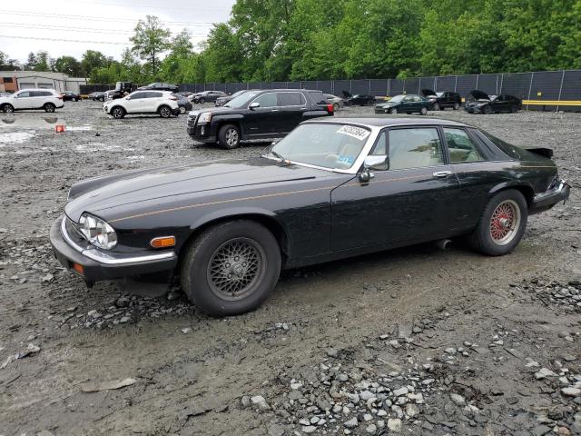 1989 Jaguar Xjs Collection Rouge VIN: SAJTY5841KC165245 Lot: 54282364