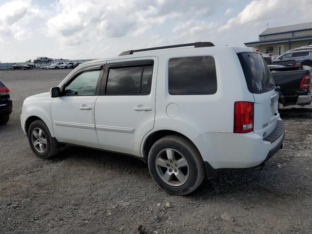 2010 Honda Pilot Ex VIN: 5FNYF3H46AB019598 Lot: 53842114