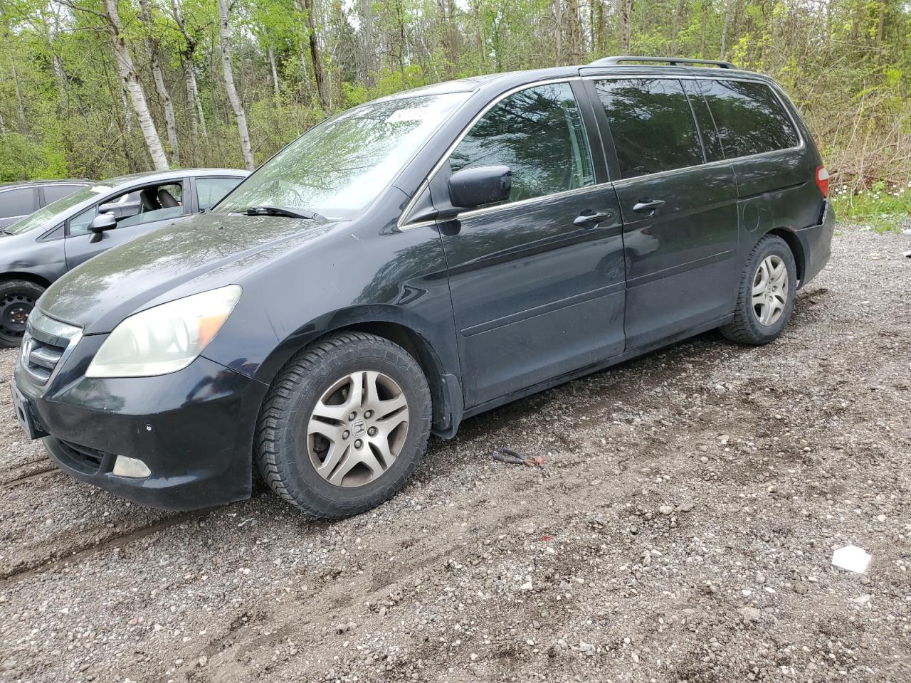 5FNRL38887B505354 2007 Honda Odyssey Touring