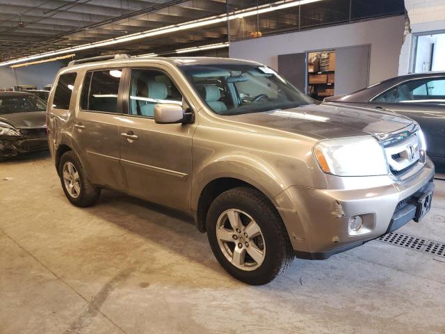 2009 Honda Pilot Ex VIN: 5FNYF48409B012535 Lot: 53891244