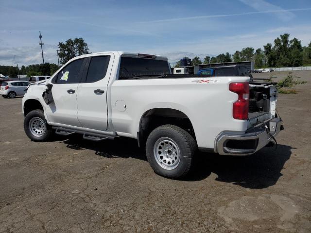 2023 Chevrolet Silverado K1500 VIN: 1GCRDAEK1PZ199707 Lot: 54714484