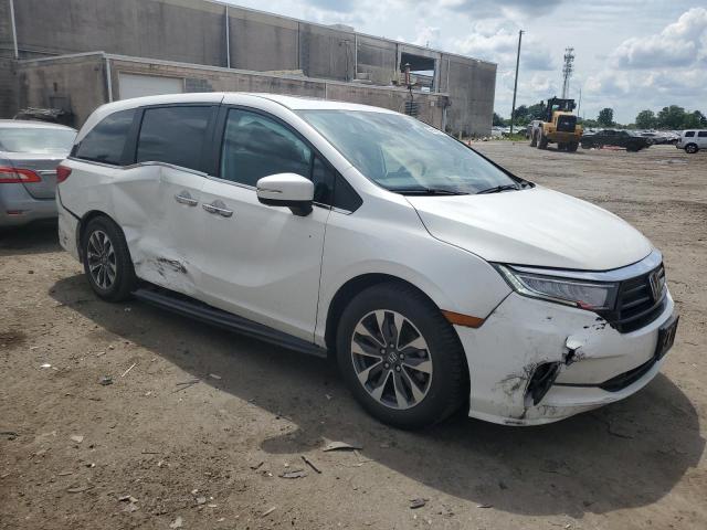 2021 Honda Odyssey Exl VIN: 5FNRL6H75MB012204 Lot: 56109384