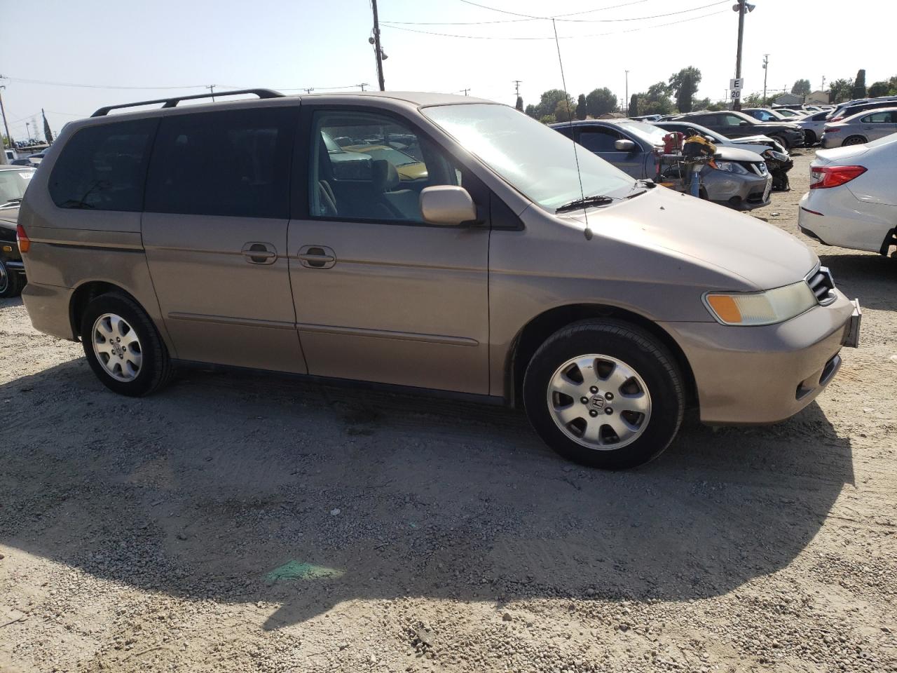 5FNRL18663B063106 2003 Honda Odyssey Ex