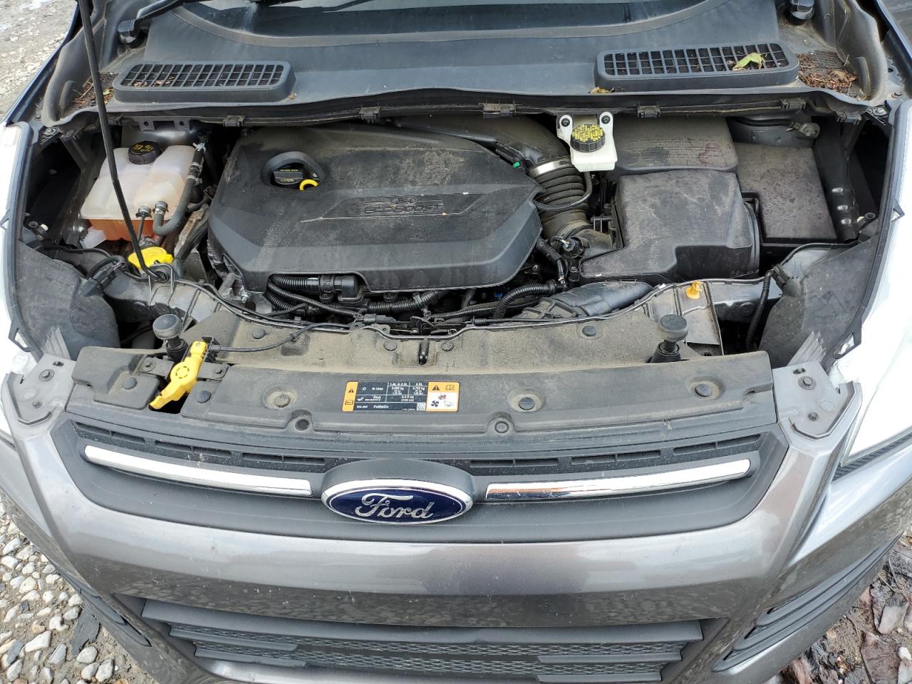 1FMCU0GXXEUB39441 2014 Ford Escape Se