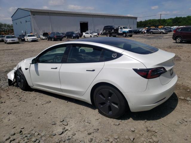 2023 Tesla Model 3 VIN: 5YJ3E1EA8PF545624 Lot: 55661414