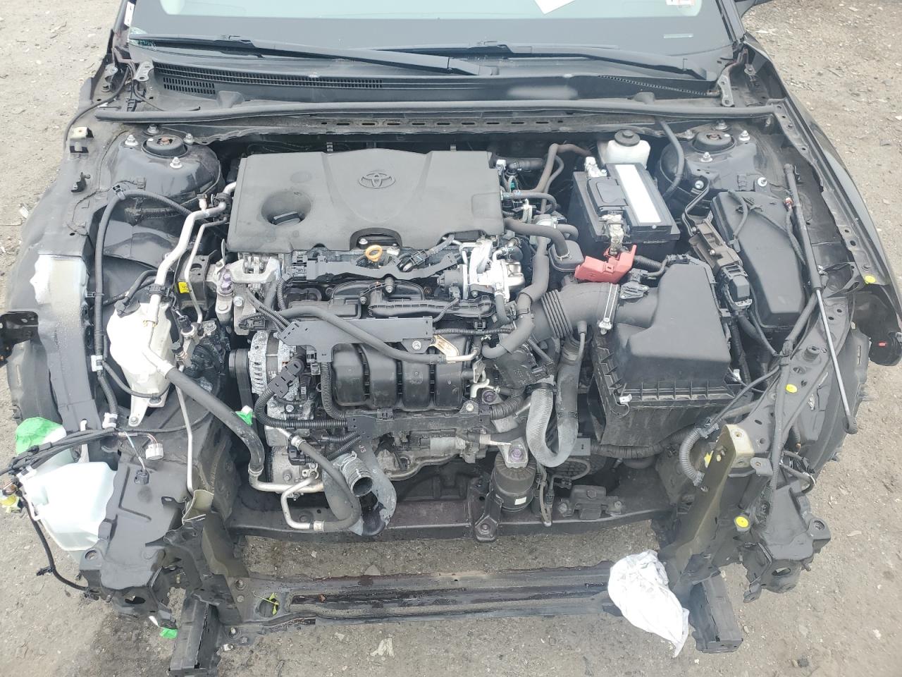 4T1B11HK8KU289945 2019 Toyota Camry L