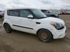 KIA SOUL + photo