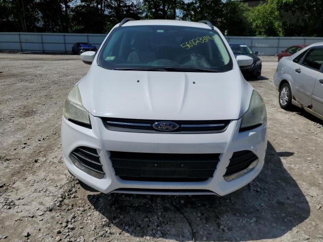 2014 Ford Escape Se VIN: 1FMCU0GX2EUA35476 Lot: 56823314