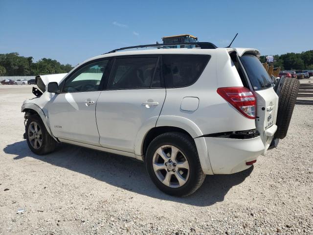 2009 Toyota Rav4 Limited VIN: JTMZF31V295009025 Lot: 56425354