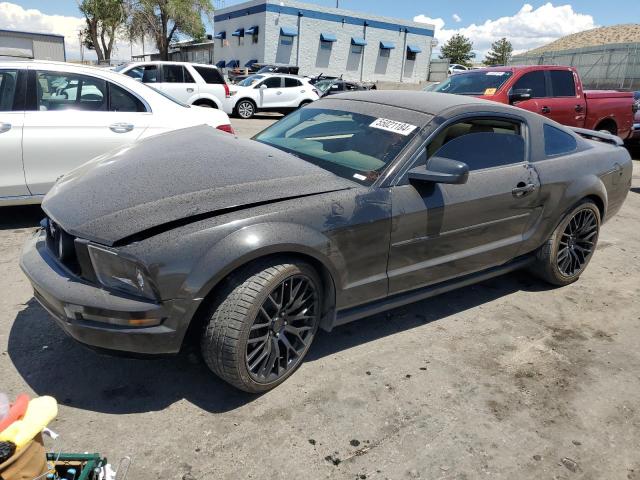 2006 Ford Mustang VIN: 1ZVFT80NX65113569 Lot: 55021184