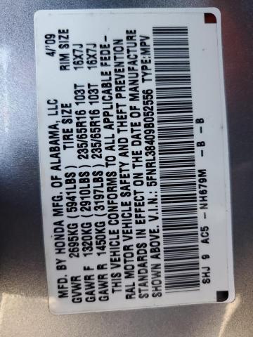 2009 Honda Odyssey Ex VIN: 5FNRL38409B052556 Lot: 53160954