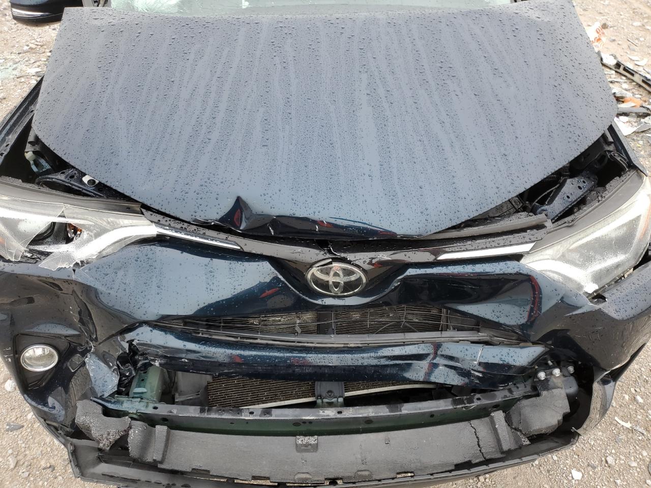 JTMWFREV6HJ106315 2017 Toyota Rav4 Xle