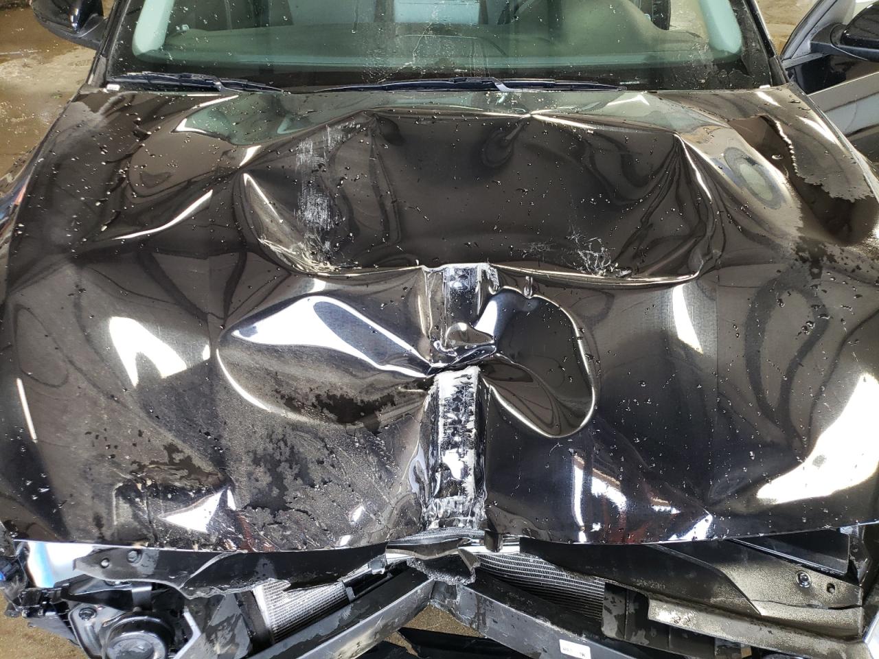 3KPF24AD8PE592391 2023 Kia Forte Lx