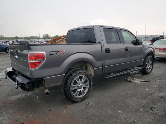 2014 Ford F150 Supercrew VIN: 1FTFW1EF4EKF38496 Lot: 53538294