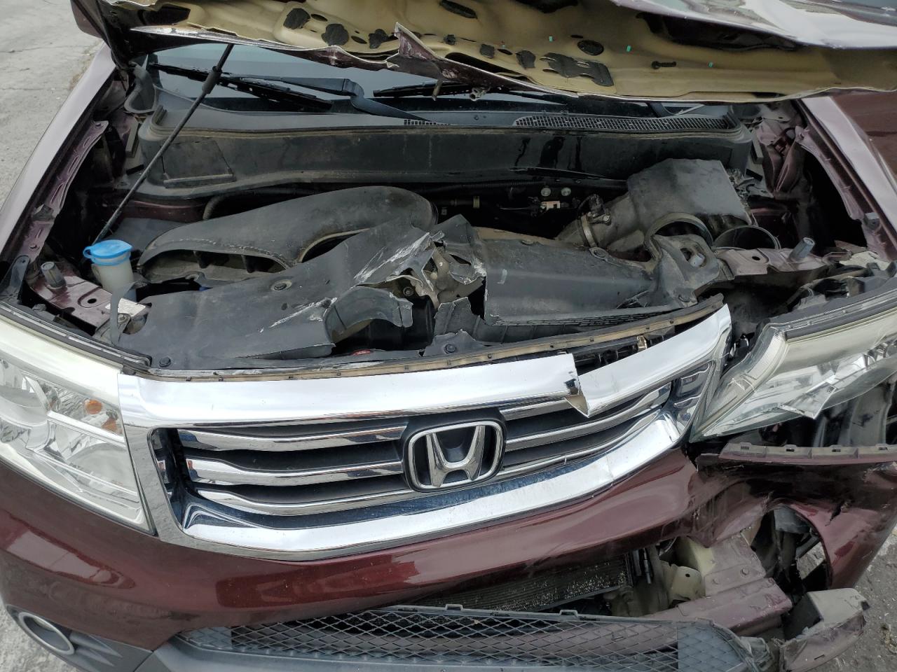 5FNYF4H54EB045556 2014 Honda Pilot Exl