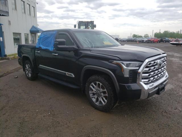 2022 Toyota Tundra Crewmax Platinum VIN: 5TFMA5DB6NX022302 Lot: 54026764