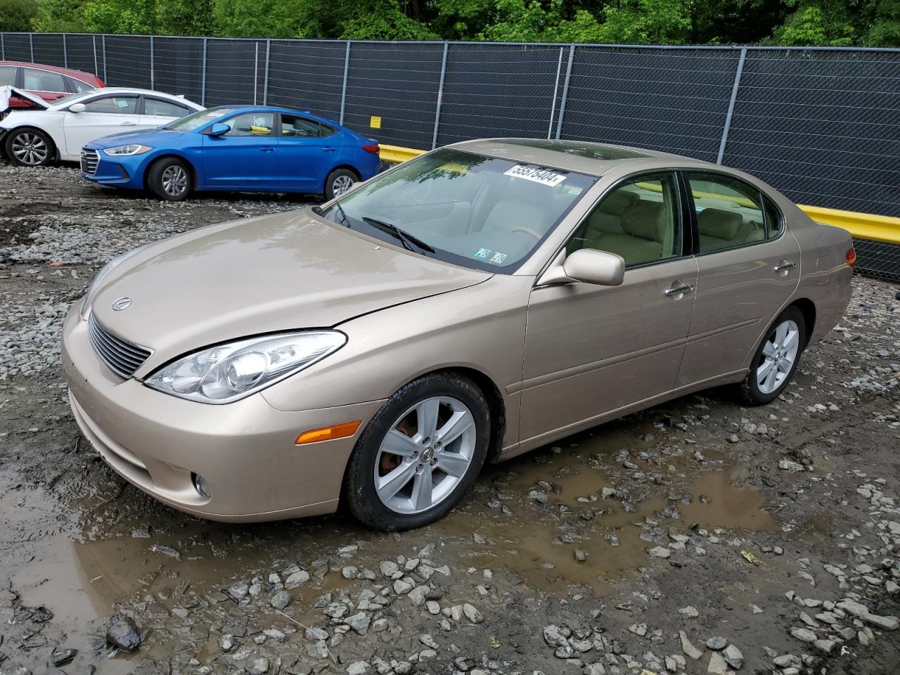 JTHBA30G165143697 2006 Lexus Es 330