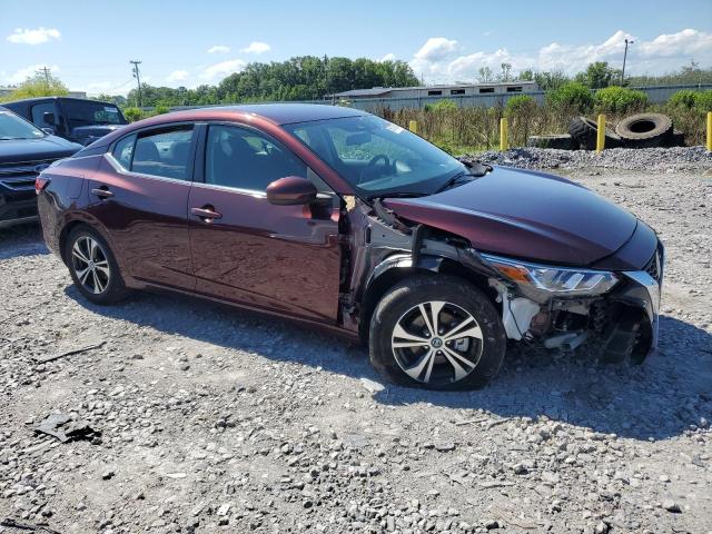 2023 Nissan Sentra Sv VIN: 3N1AB8CV5PY246906 Lot: 55715764