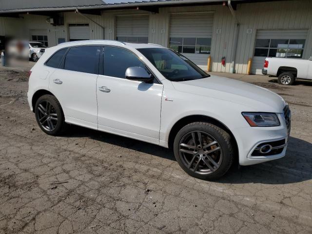 2015 Audi Sq5 Premium Plus VIN: WA1CGAFP1FA096351 Lot: 54963734