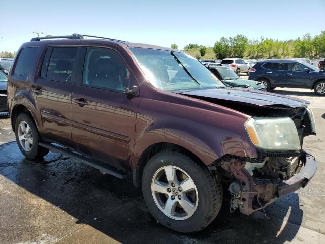 2010 Honda Pilot Exl VIN: 5FNYF4H54AB016844 Lot: 55413374