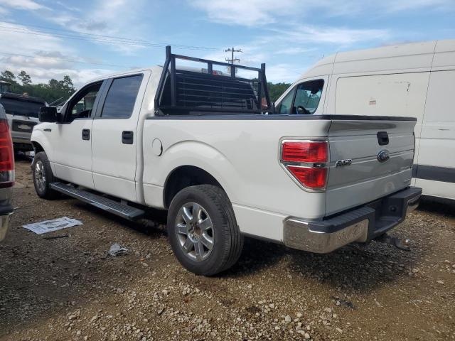 2013 Ford F150 Supercrew VIN: 1FTEW1CM8DFD30948 Lot: 53322914