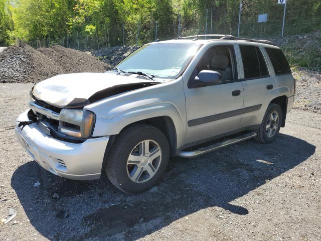 2005 Chevrolet Trailblazer Ls VIN: 1GNDT13S552223701 Lot: 53278684