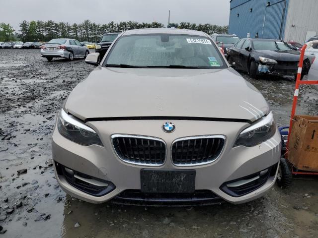 2016 BMW 228 Xi Sulev VIN: WBA1G9C56GV726788 Lot: 54225844