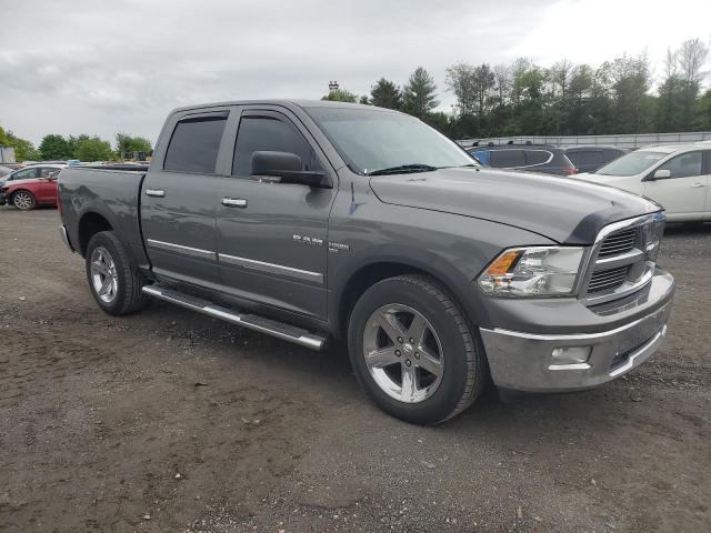 2010 Dodge Ram 1500 VIN: 1D7RV1CT0AS116315 Lot: 54274954