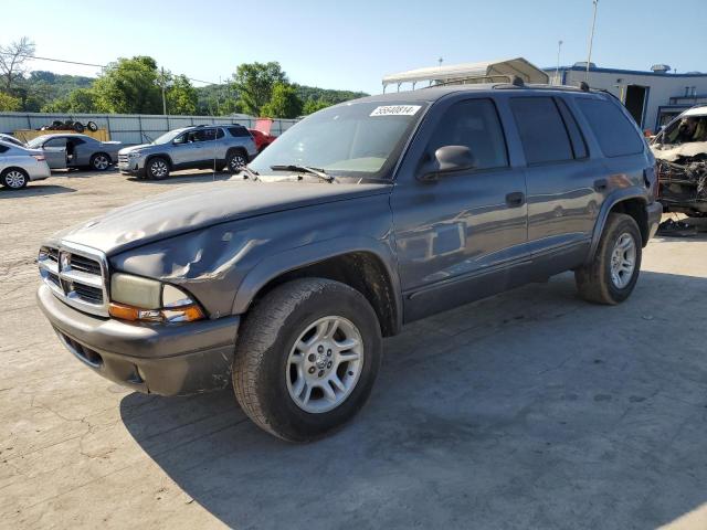 2003 Dodge Durango Slt VIN: 1D4HR48N13F501919 Lot: 55640814