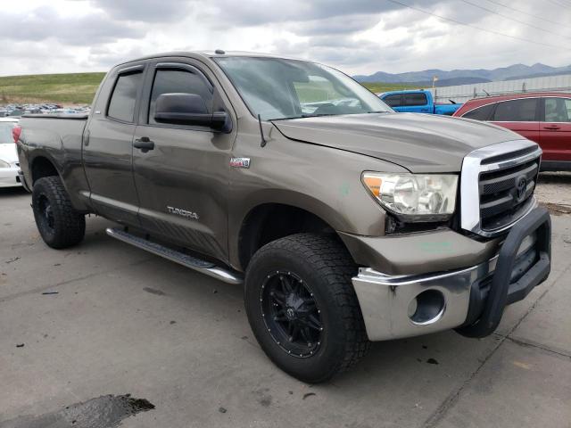 2010 Toyota Tundra Double Cab Sr5 VIN: 5TFUY5F12AX098044 Lot: 54437564