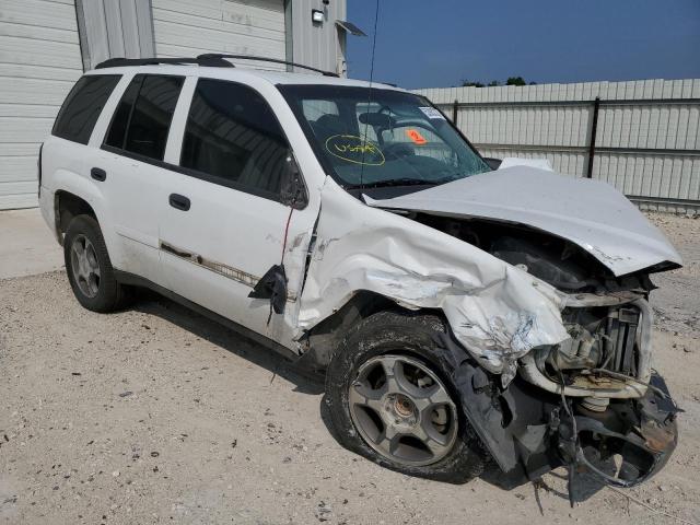 2006 Chevrolet Trailblazer Ls VIN: 1GNDS13S362327575 Lot: 53932224