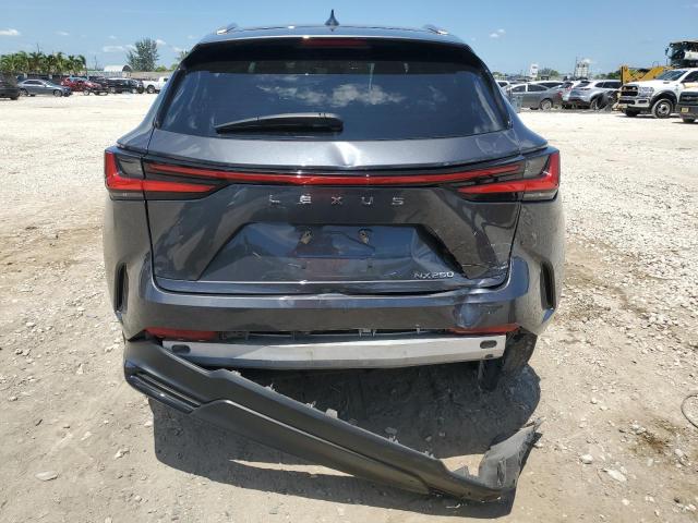 2023 LEXUS NX 250 2T2ADCAZXPC005645