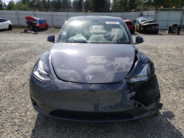 2023 Tesla Model Y VIN: 7SAYGDEE7PA097980 Lot: 57034564