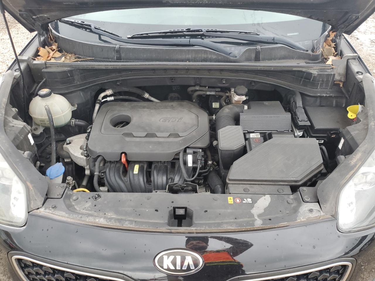 KNDPM3AC1H7298879 2017 Kia Sportage Lx